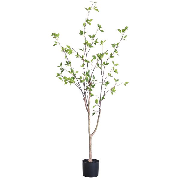 Chinese Mahogany Artificial Plant