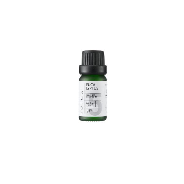 Premium Eucalyptus Essential Oil - Natural Aromatherapy for Clear Breathing & Energy Boost