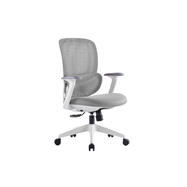 Pro Ergonomic Office Chair