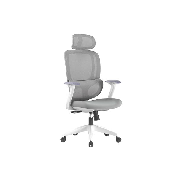 Pro Classic Ergonomic Office Chair